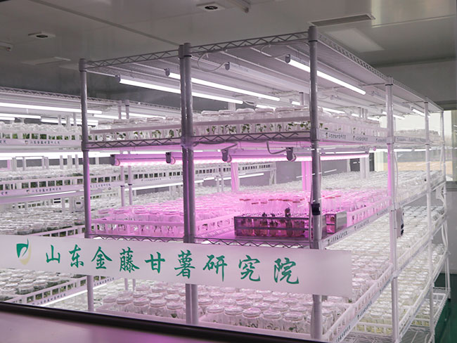 實(shí)驗(yàn)室